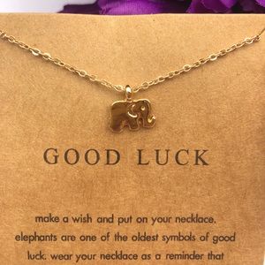 NWT Woman Fashion Necklace and Pendant